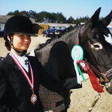 New Forest Løgtholt's Orlando