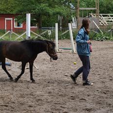 Dartmoor Klostermarkens Atlanta