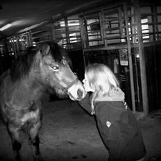 Anden særlig race Bølle Bob [Har redet]
