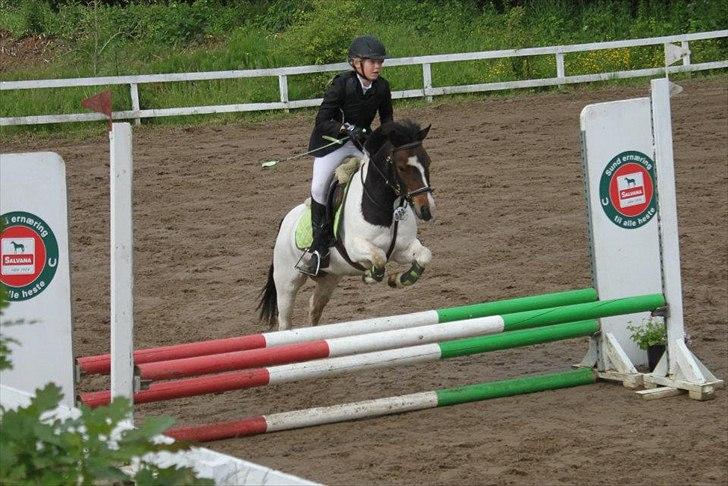 Anden særlig race Magnum<3 billede 5