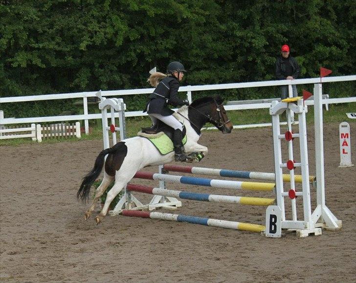 Anden særlig race Magnum<3 billede 6