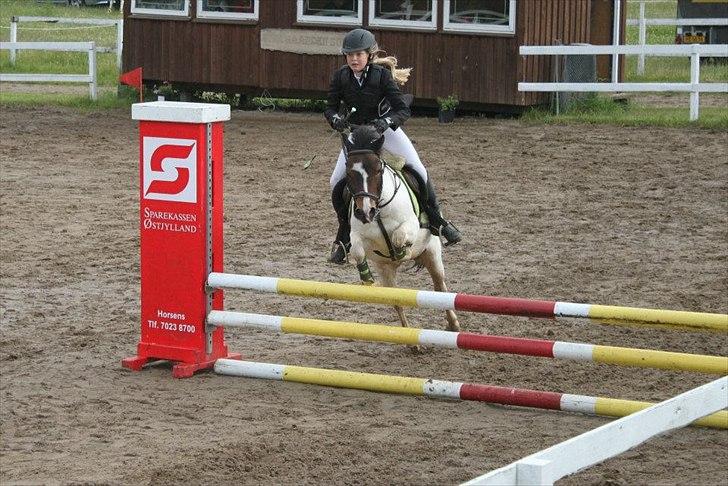 Anden særlig race Magnum<3 billede 7