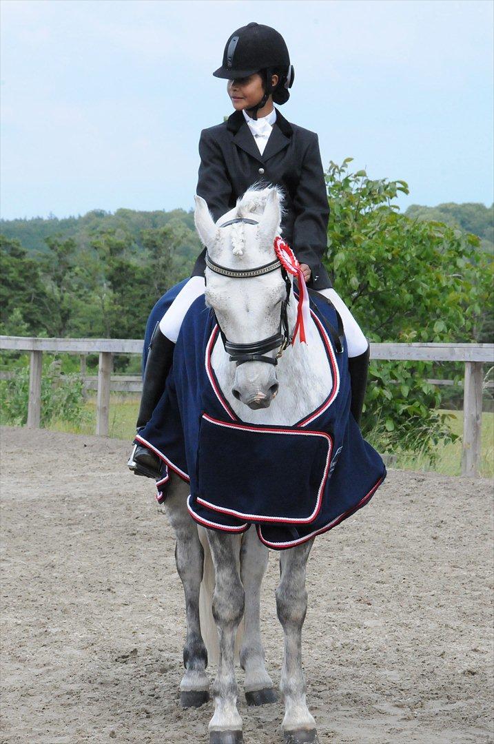 Connemara Maskenkol's Calimero *Tidl. Part* - Vinder af klubmesterskabet:-) De red LC2 til 69%<3<3 billede 13