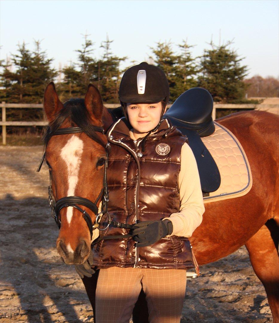 DSP Stald PR'S Paula *. Søsters .* Flomme.. xD billede 10