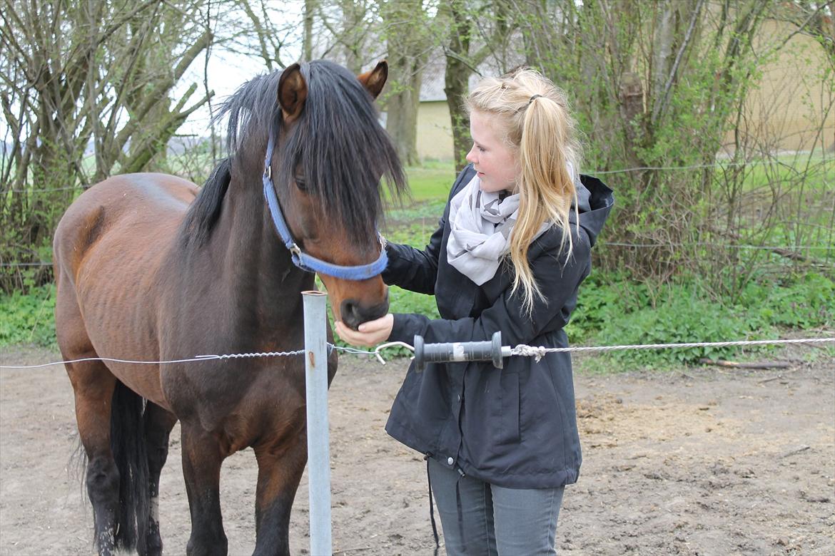 Anden særlig race Gavbogaard Lucas billede 2