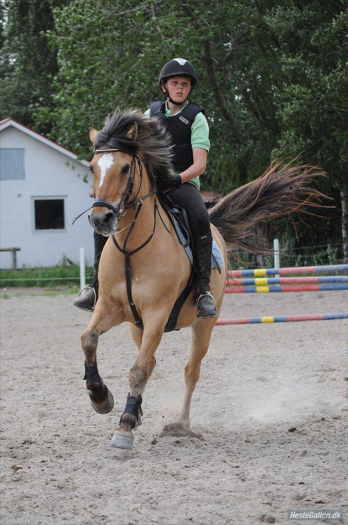 Anden særlig race Lipo Flash - Lipo og jeg opvarmer til spring :) Foto: JEM billede 2
