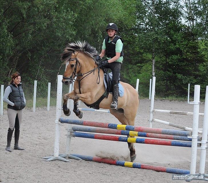 Anden særlig race Lipo Flash - Spring :) Foto: JEM billede 3