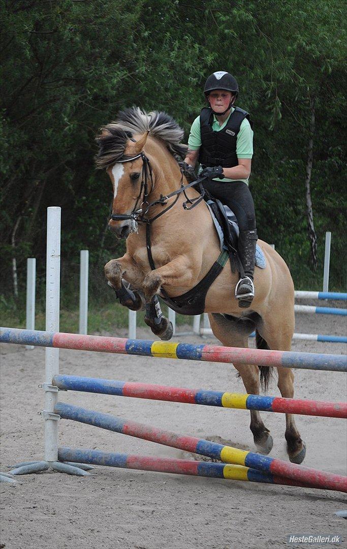 Anden særlig race Lipo Flash - Vi flyver ;) Foto: JEM billede 7