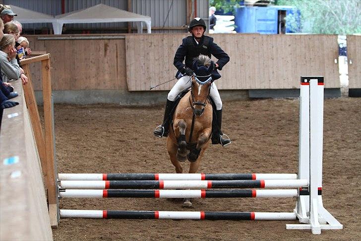 Anden særlig race Lipo Flash - Haha min arm 60cm på Lipo :) Foto: Malene  billede 11