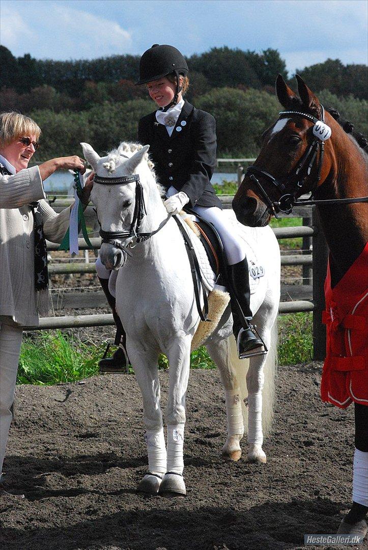 Welsh Pony (sec B) Lyngevejens Eksalon Havl A-Pony! - NR: 3 TIL DISTRIKTMESTERSKAB!
Billede:Natascha (TAS ) 
Tusind tak! billede 10