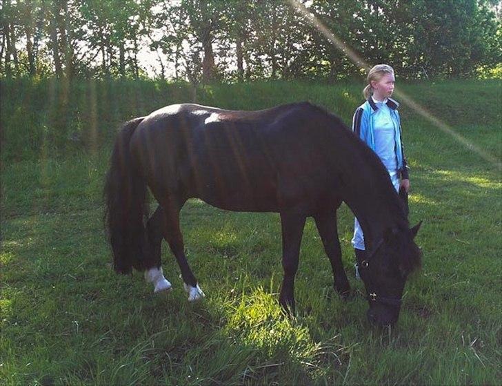 Anden særlig race Sorteper<3 *drømme ponyen* - 15) Det er kun med hjertet, man kan se rigtigt<3 billede 15