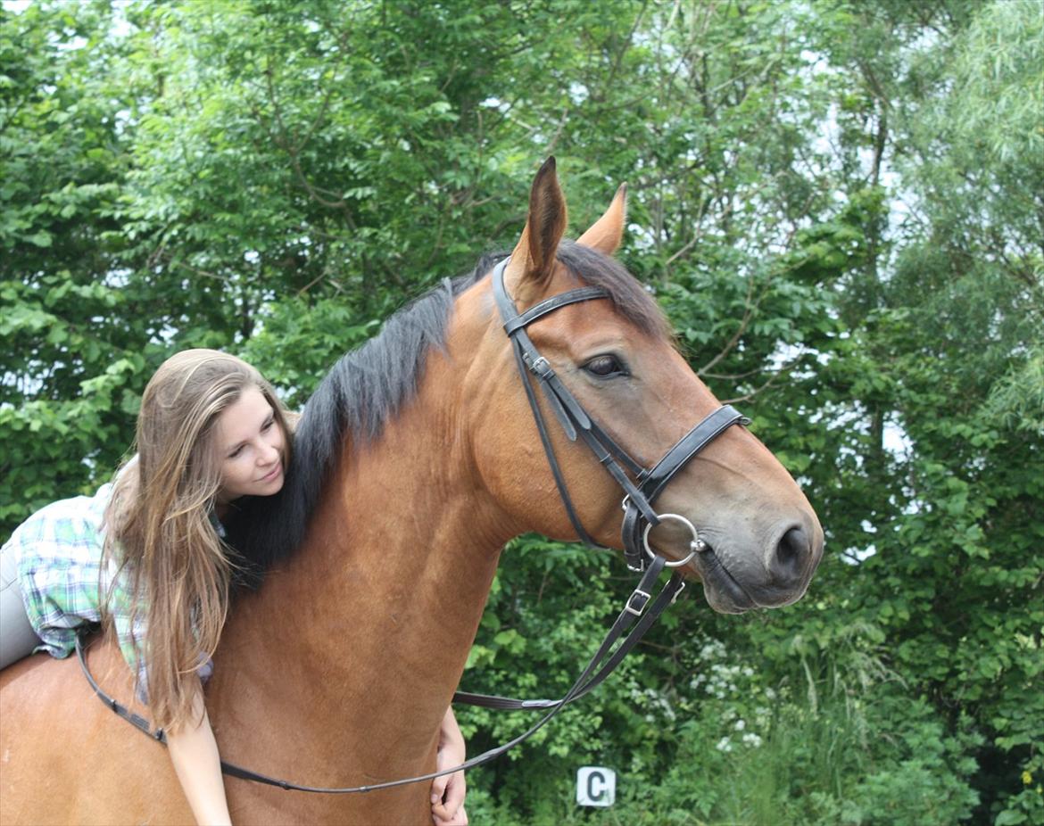 Anden særlig race Imagin Spot Morsbøl(Aflivet) - Tillid er en dyd, vi begge besidder.  billede 8