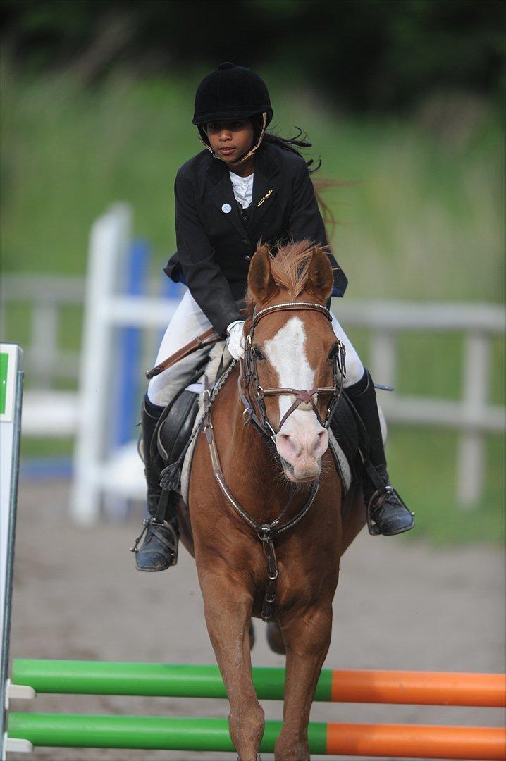 Arabisk fuldblod (OX) Lavina *DEN BEDSTE* billede 14