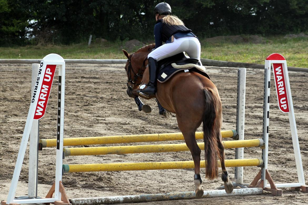 New Forest Bøgelys Bøg(Solgt) - Taget af: Helena Elmo Kristensen billede 16