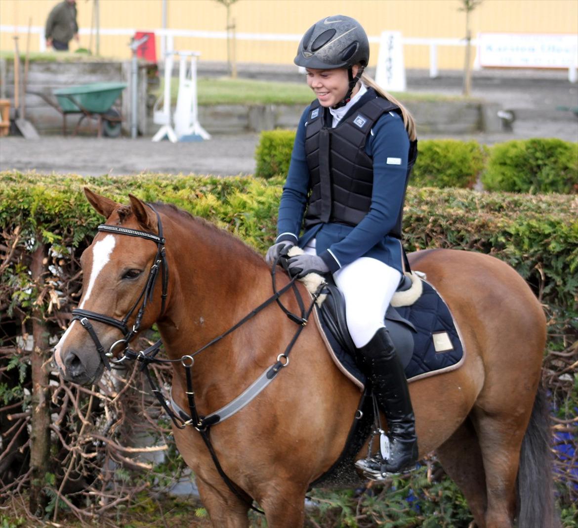 New Forest Bøgelys Bøg(Solgt) - Taget af: Helena Elmo Kristensen billede 18