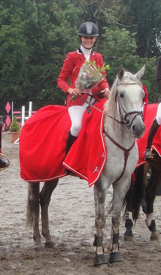 Anden særlig race Loughnatousa Inksy - DISTRIKTSMESTER 2012 FOR HOLD SPRING HEST :D  billede 1