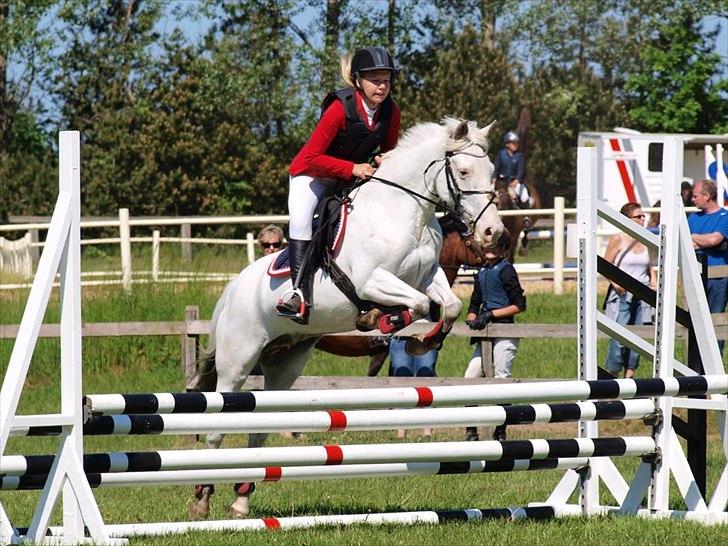 Anden særlig race Jasmine (Snuske) - Diskrets mesterskab i pony hold springning. To gode nulrunder :)  Foto: Annika Løvmose Holm billede 11