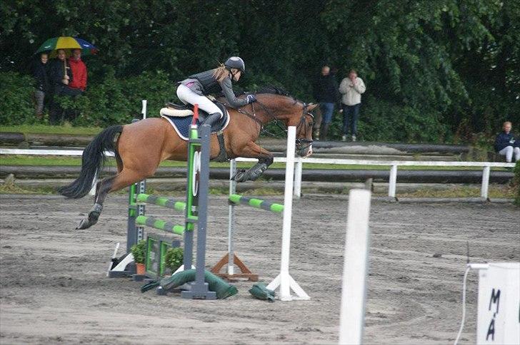 Hollandsk Sportspony Caspertoo H - B-pony<3 - Stjernen til indv. mesterskab i distrikt 14 3. plads d. 24/6 2012<3 
 - You are all I ever wanted<3
Foto: Malene Lindvig!  billede 3