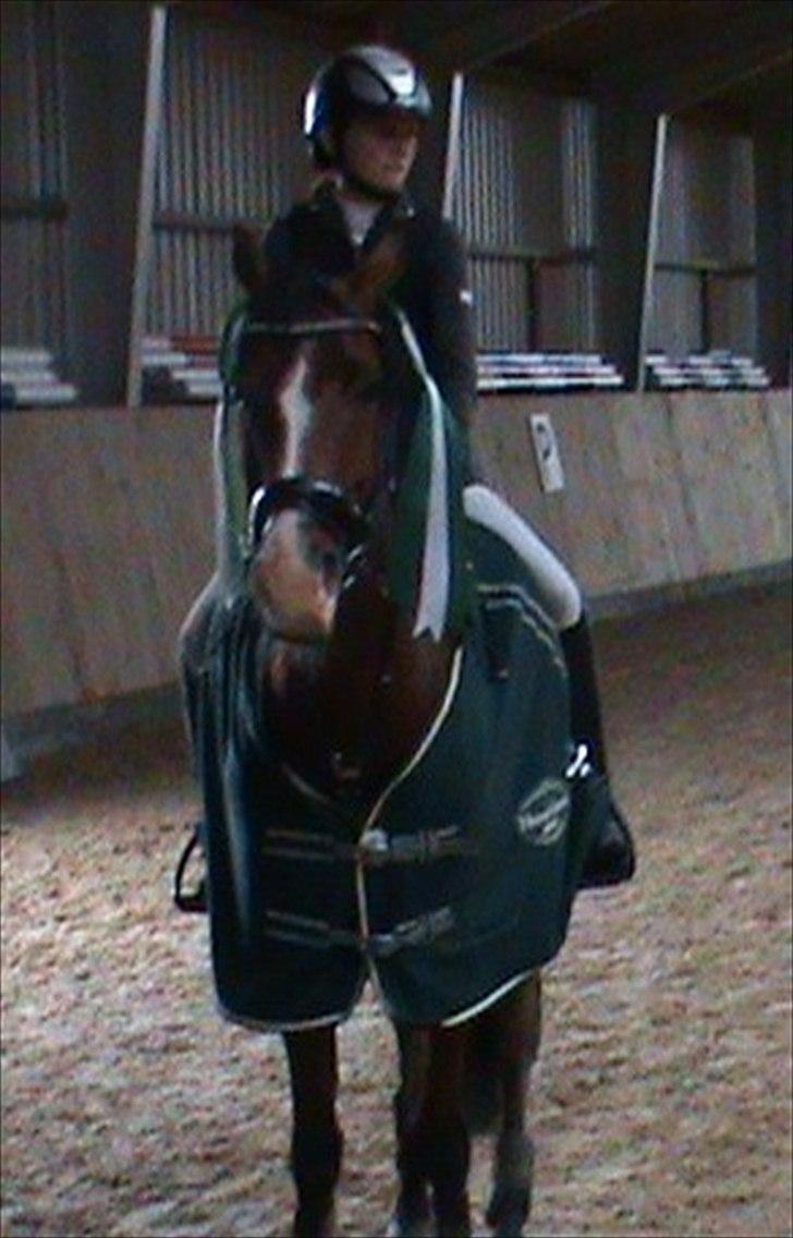 Hollandsk Sportspony Caspertoo H - B-pony<3 - Indv. mesterskab 2012 3. plads<3
- Jeg elsker dig!<3 billede 1