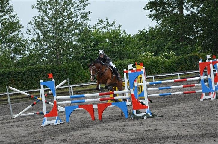 Hollandsk Sportspony Caspertoo H - B-pony<3 - Indv. mesterskab 2012 3. plads!<3
"I nat sendte jeg en engel til at passe på dig mens du sov, men englen kom hurtigt tilbage.
Den så ind i mine øjne og sagde, engle vogter ikke over andre engle."
Foto: Karen Gadensgaard billede 14