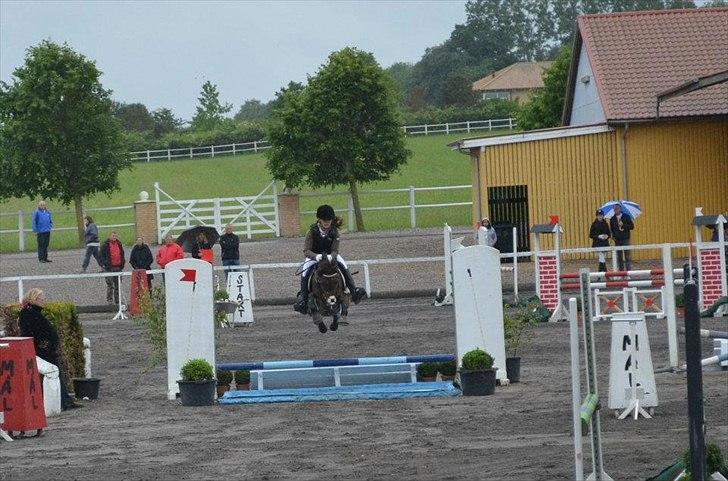 New Forest Odden's Daytonna A-Pony - Individuelt Distrikt mesterskab i Kongsdal 2012 :-D<3 Over vandgraven<333 billede 11