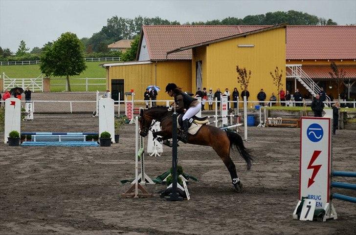New Forest Odden's Daytonna A-Pony - Individuelt Distrikt mesterskab i Kongsdal 2012 :-D<3 billede 18