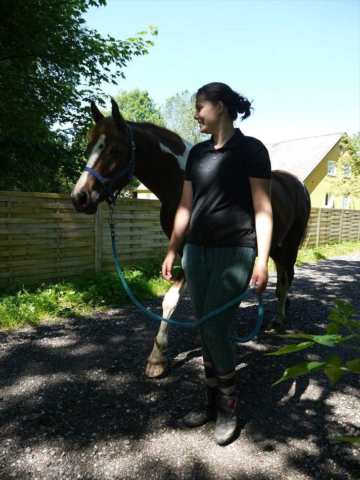 Pinto Gaya - På vej ud til de andre heste igen :D billede 8