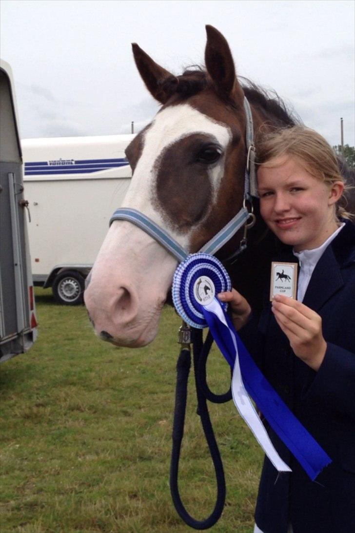 Welsh Cob (sec D) Nebles too much white "altid i mit hjerte! - helt klart mit ynglis bilede!! <33 billede 15