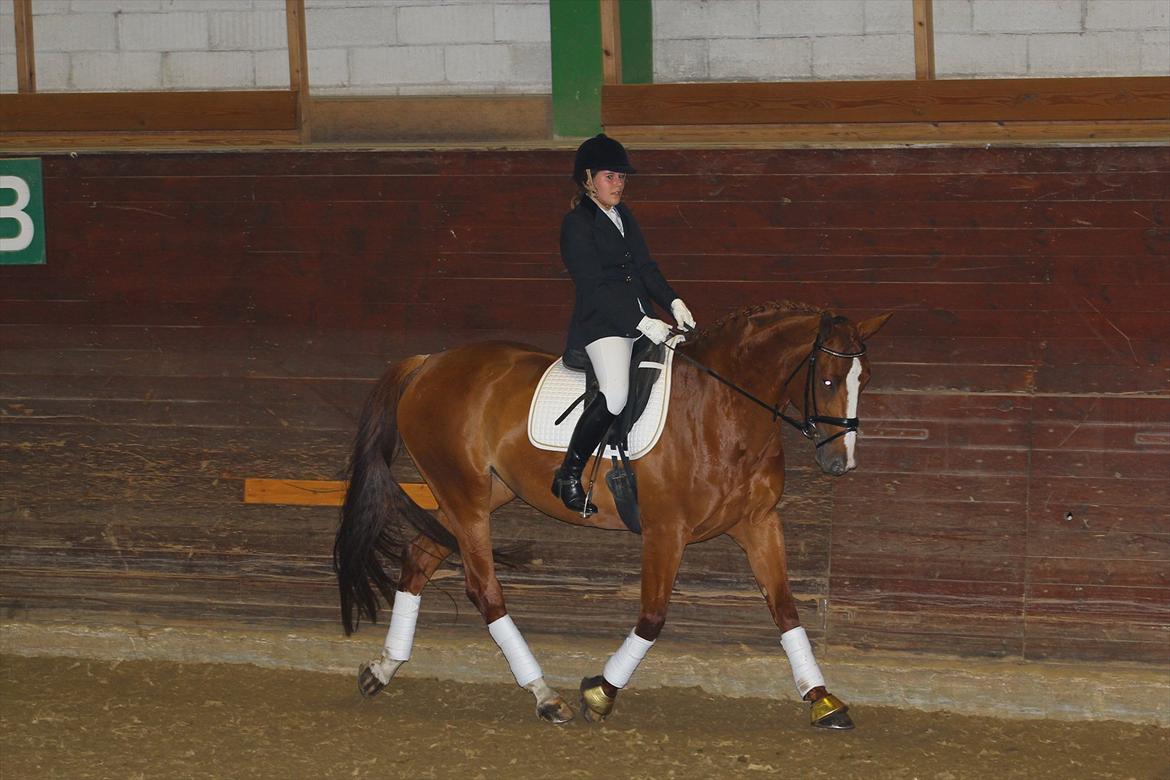 Dansk Varmblod Red Passion - Stævne d. 24 juni 2012 - LB1 som vi vandt :-) <3 Foto: H.A billede 4