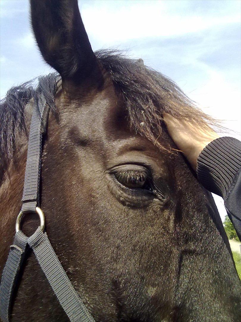 Oldenborg Jazon - Sov sødt ;) billede 1