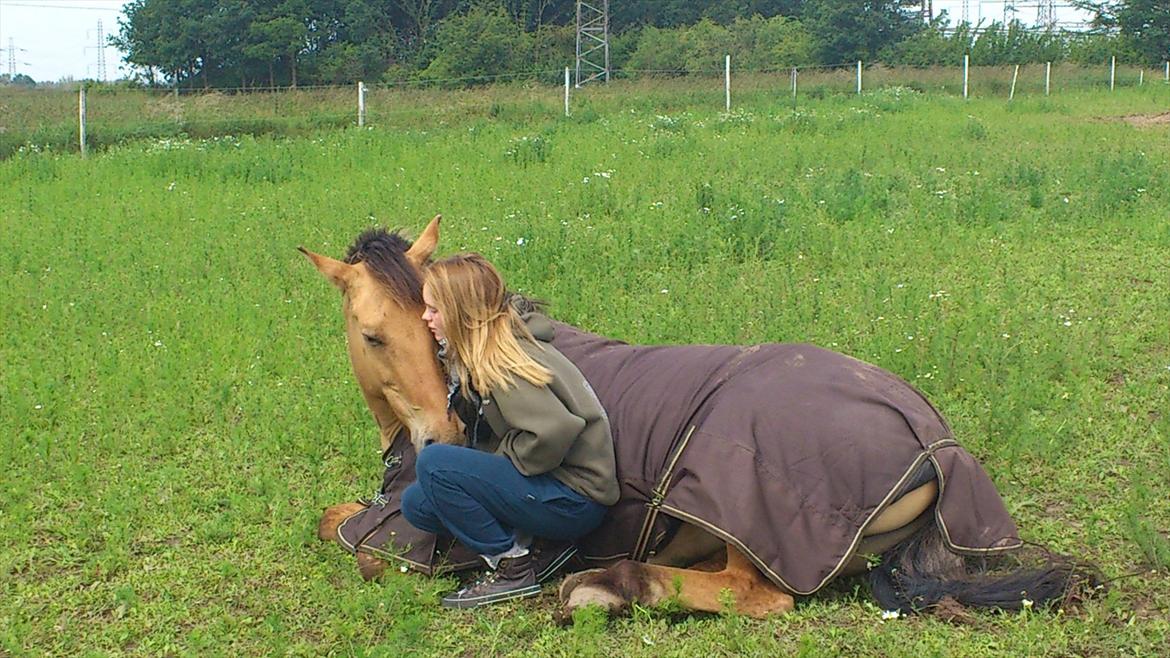 Anden særlig race Golden Guy *AKA Sune* - Vi ligger og hygger lidt ;) billede 18