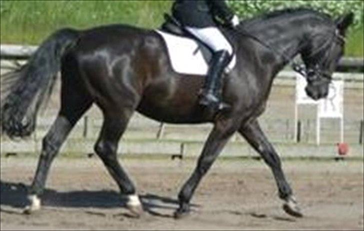 Oldenborg Jazon - Stævne på NRC "LC3"
-Undskyld billedet er flimret!... billede 6