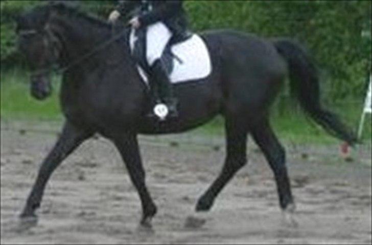 Oldenborg Jazon - Som vi kender Jazon "LC3"
-Undskyld billedet er flimret!.. billede 7