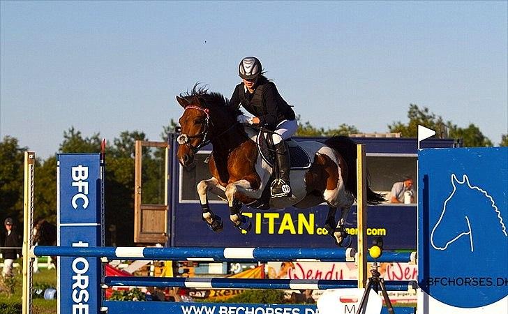 Pinto Munkeborgs Cloudy B-pony - MB** 0 fejl <3 
Copenhagen horse show.
Taget og købt af CT-FOTO billede 2