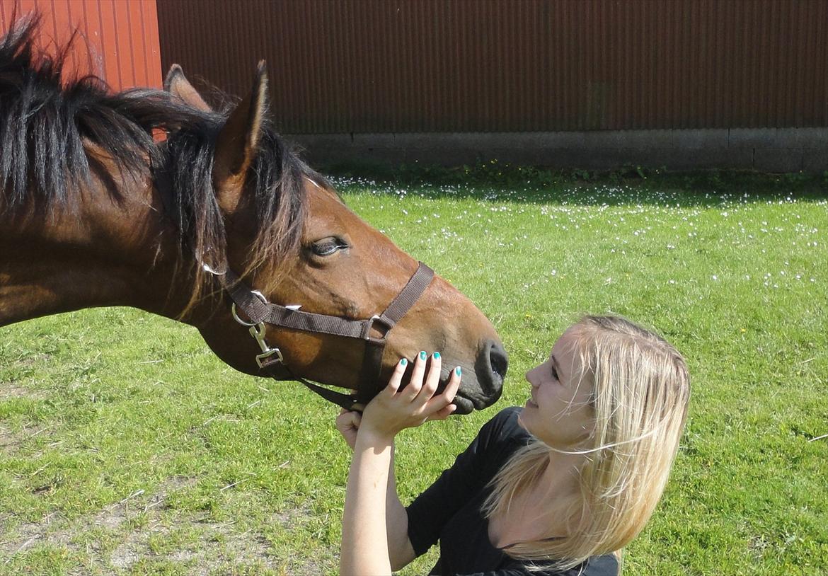 Anden særlig race Quick Brown Lady Z <3 - Skøn pony - 26 juni 2012 :-) billede 20