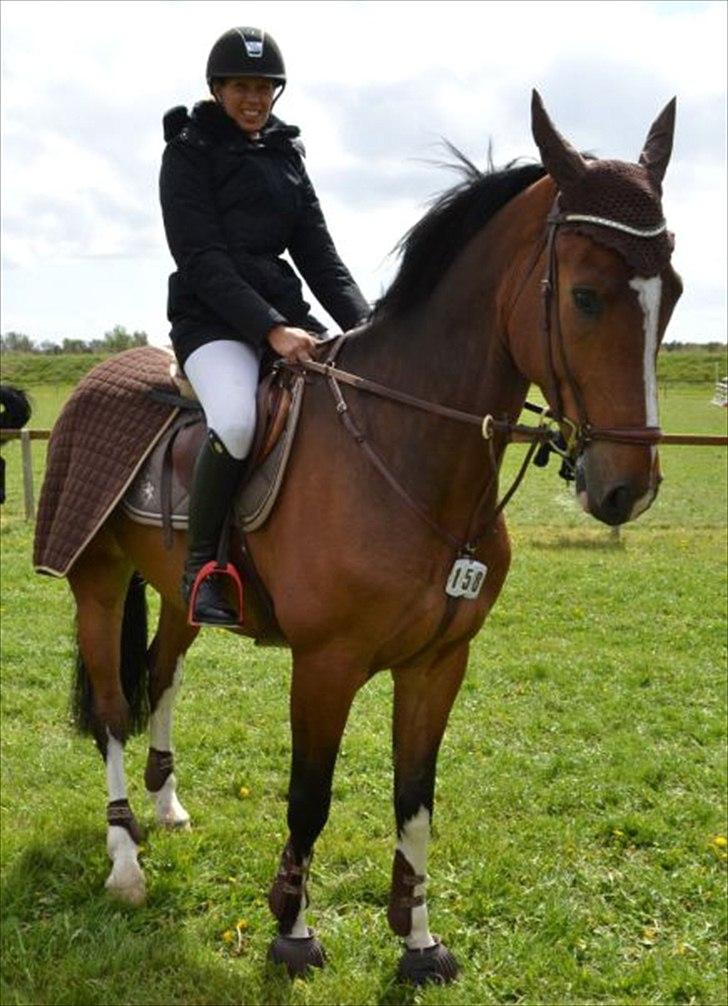 Zangersheide H. Beaufort De La Vie Z - SOLGT - Beaufort til stævne i Guldager,maj 12 billede 8