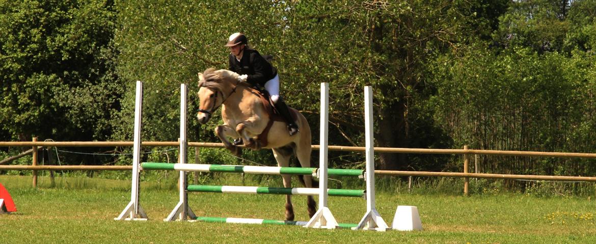 Fjordhest BG Gandalf (Fyns/klub mester!<3<3) :-* - Ægte piger bliver ikke jaloux når de ser deres ex med en ny dame. For de lærte i barndommen at give deres brugte legetøj, videre til de mindre heldige.<3 billede 7