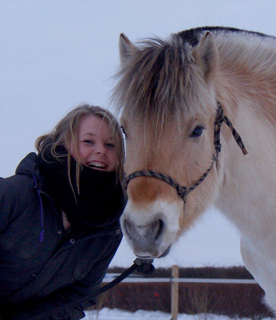 Fjordhest BG Gandalf (Fyns/klub mester!<3<3) :-* - Mit hjerte banker kun for dig..<3 billede 8