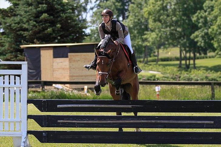 Holstener TT- Lacopia billede 13