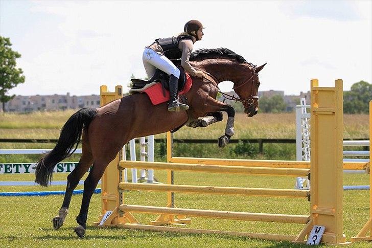 Holstener TT- Lacopia billede 12