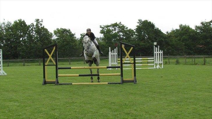 Anden særlig race Ricky - 2013 billede 4