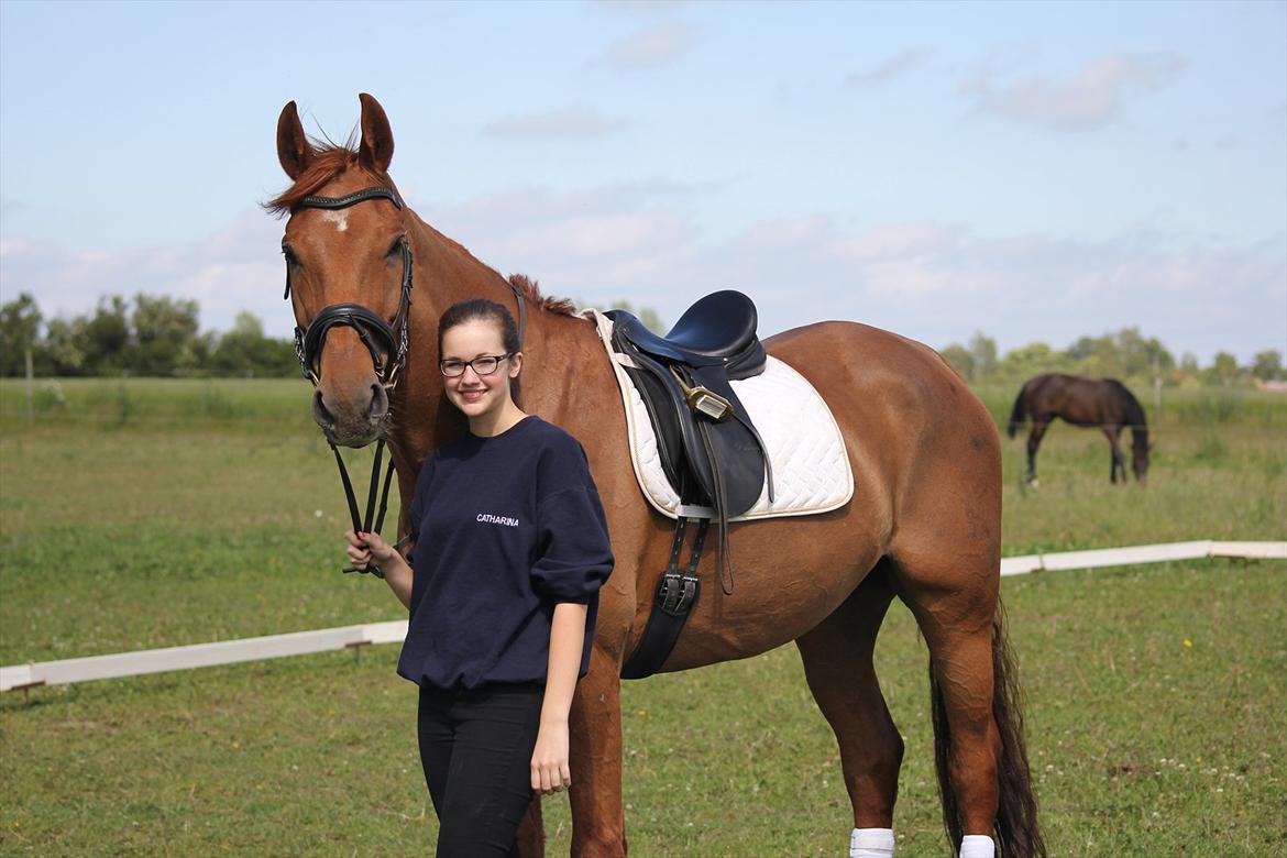 Tysk Varmblod Mon Petit - Jeg elsker dig, Petit. <3
27-06-12.
copyright catharina madsen. billede 1