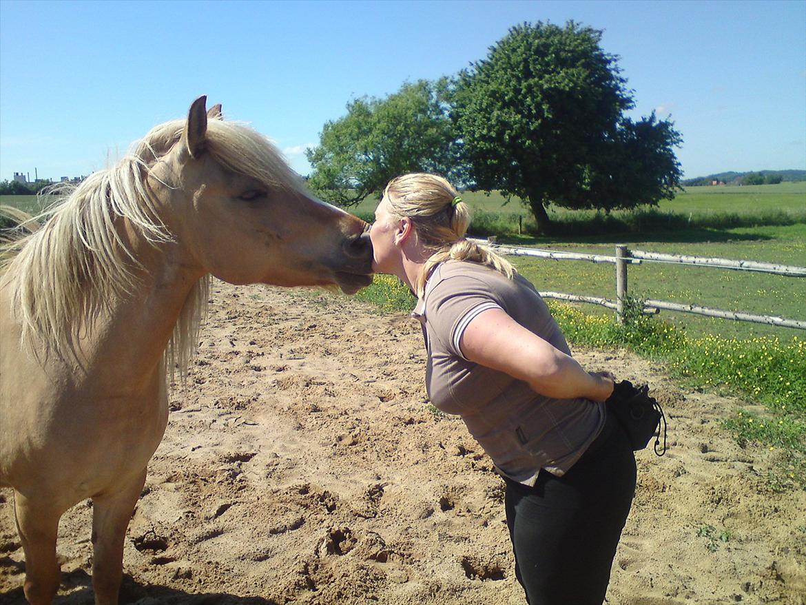 Anden særlig race spencer billede 12