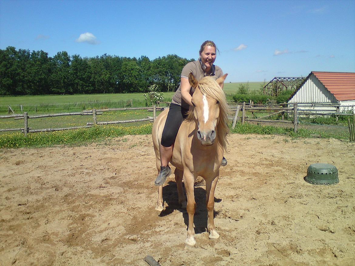 Anden særlig race spencer billede 13