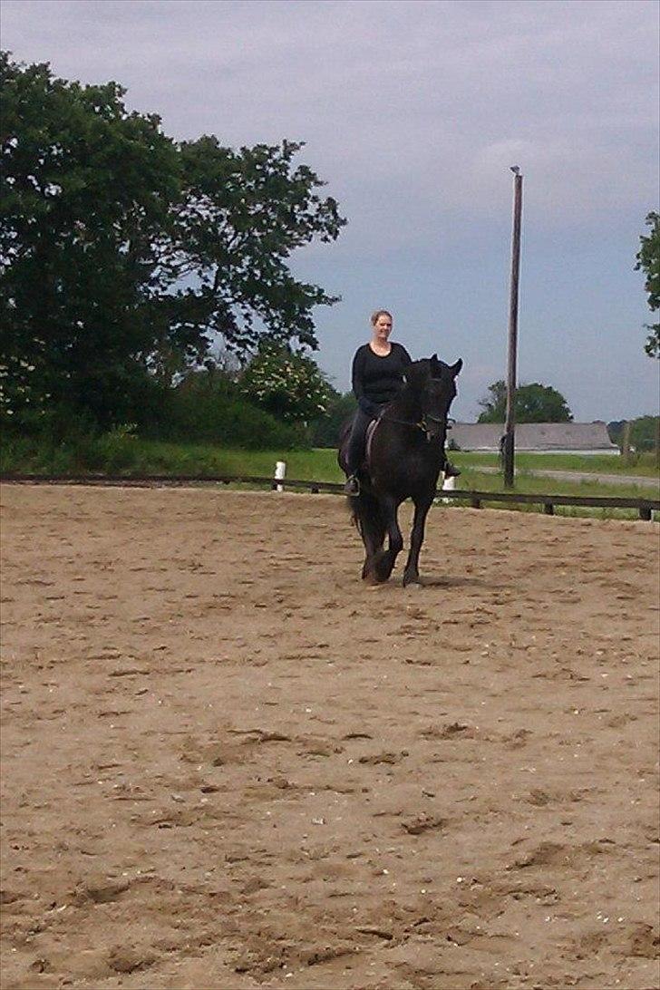 Frieser sietske van de sweach billede 8