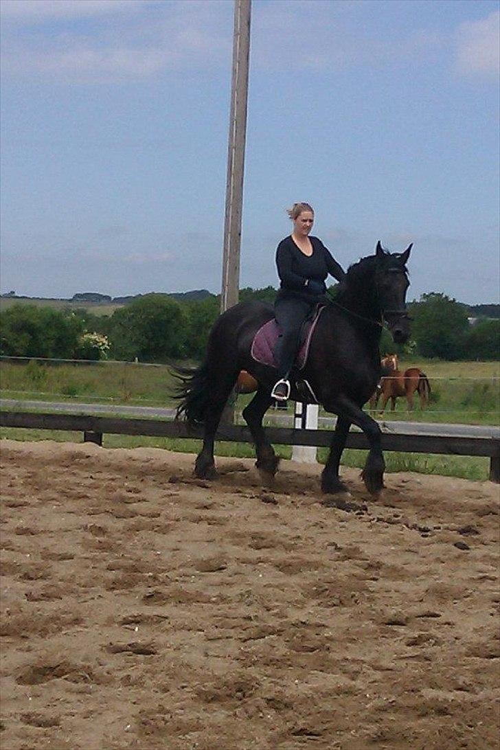 Frieser sietske van de sweach billede 9