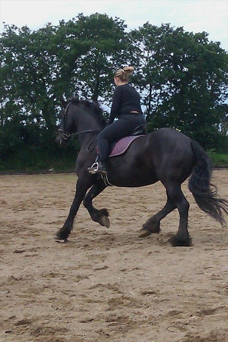 Frieser sietske van de sweach billede 10