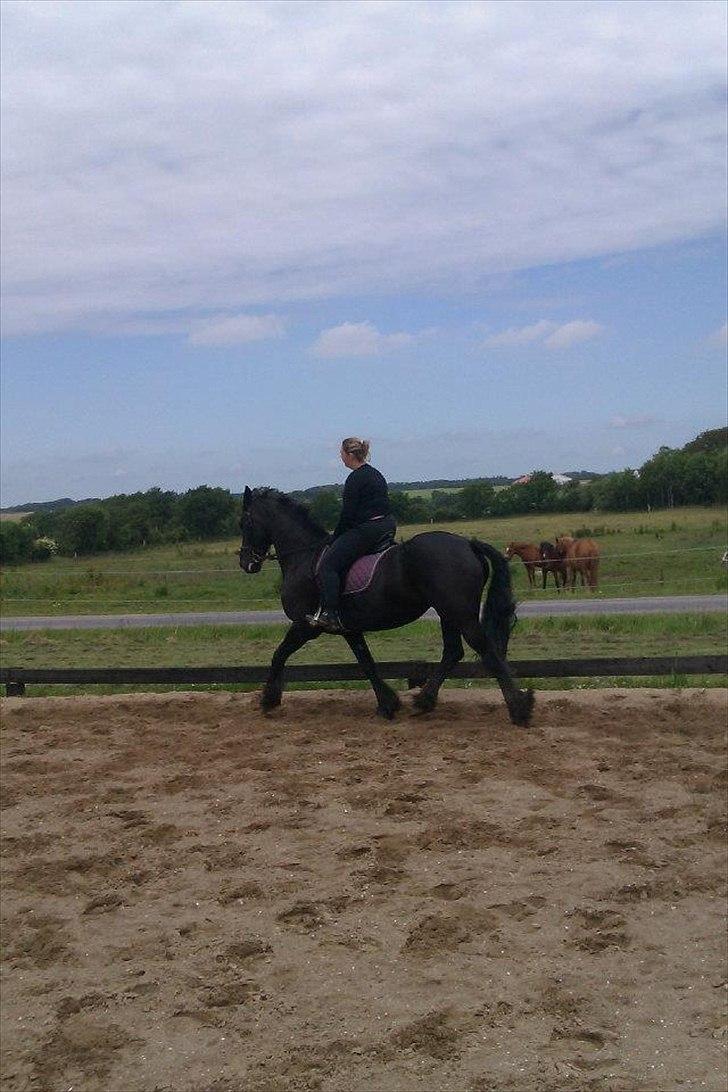 Frieser sietske van de sweach billede 11