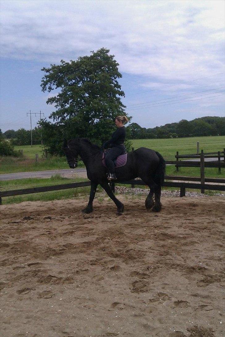 Frieser sietske van de sweach billede 12