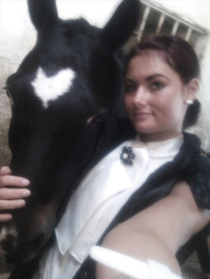 New Forest Løgtholt's Orlando - Trætte efter en lang weekend i Skive til VDM.  billede 19